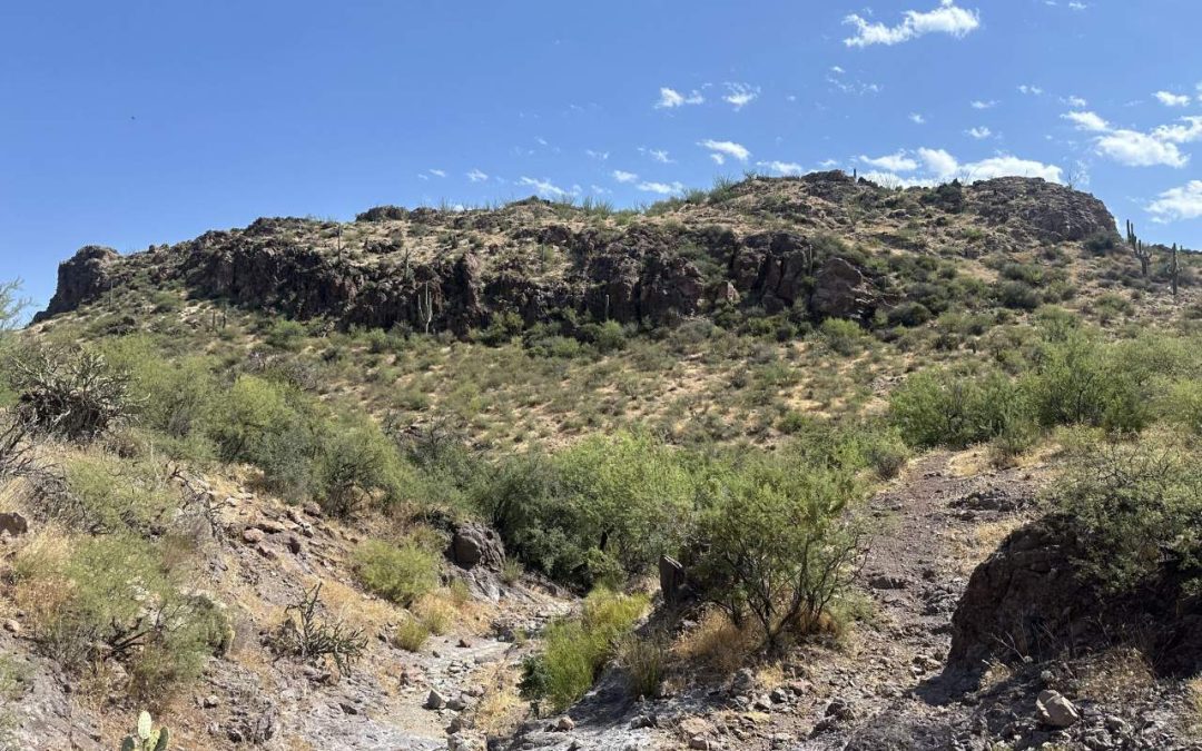 Buckhorn Ranch – SOLD