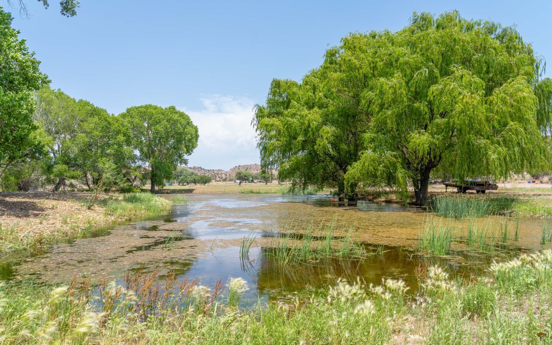 McKeen Farm & Ranch