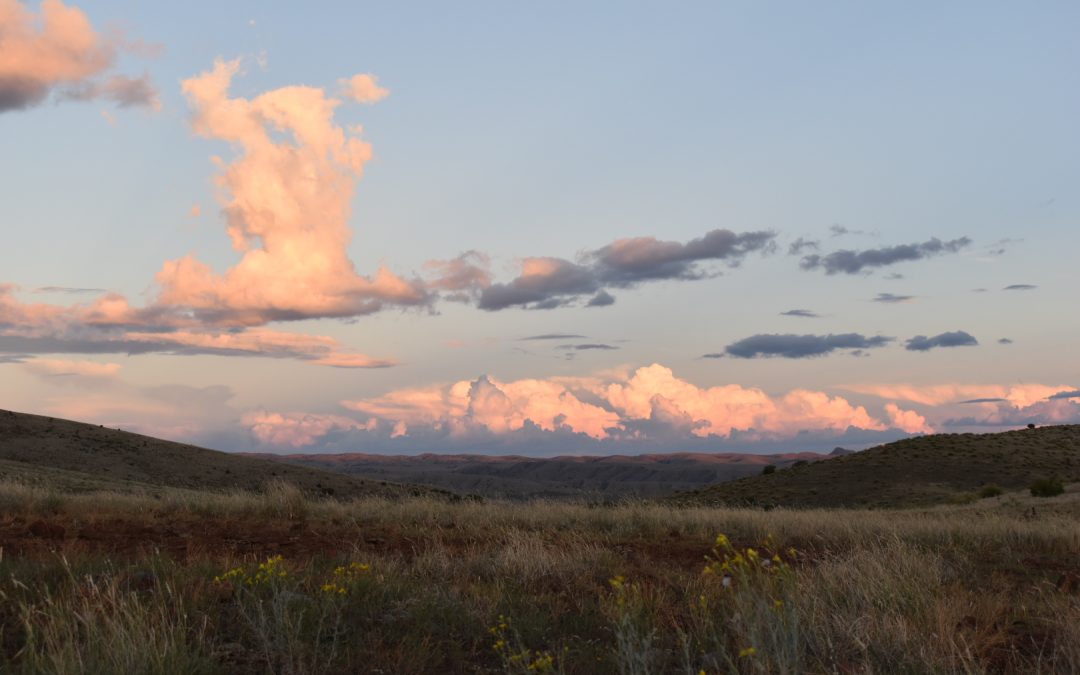Mimbres River Farm and Ranch